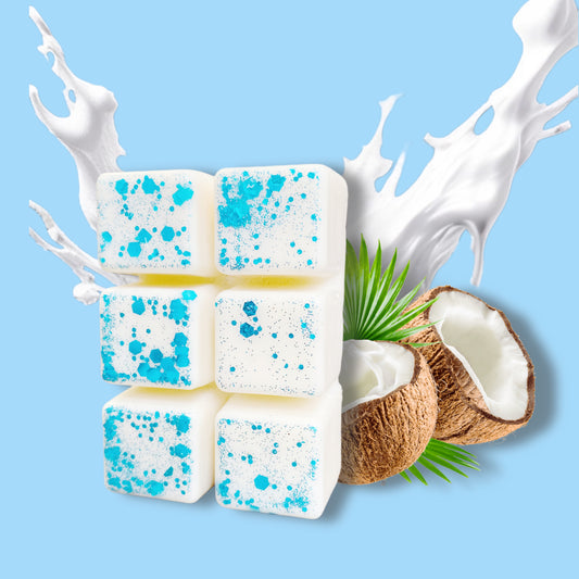 Cozy Coconut Wax Clamshell
